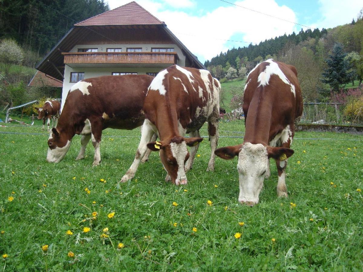 Apartament Geigerbauernhof Mühlenbach Zewnętrze zdjęcie